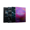 Modern Vibes Bundle